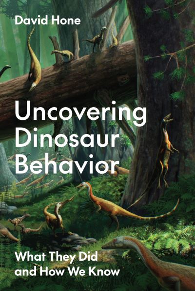 Cover image for this book