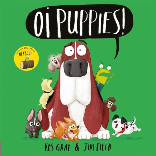 Cover image for this book