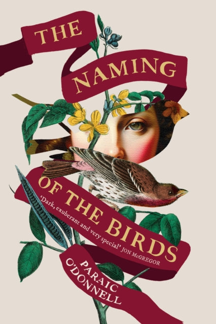 The Naming of the Birds-9781474614863