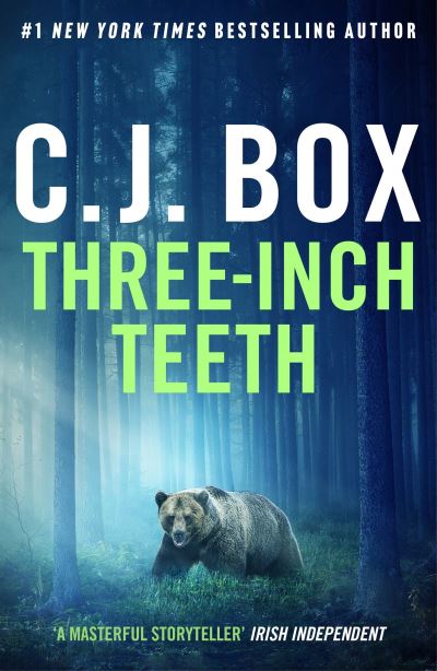 Cover image for this book