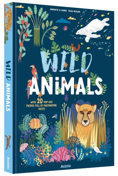 Cover image for this book