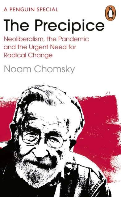 The Precipice : Neoliberalism, the Pandemic and the Urgent Need for Radical Change-9780241993934