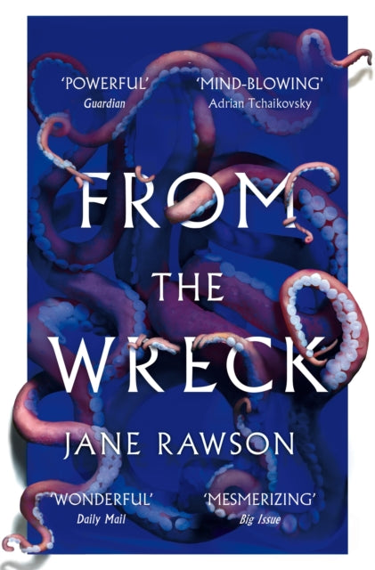 From The Wreck-9781529006568
