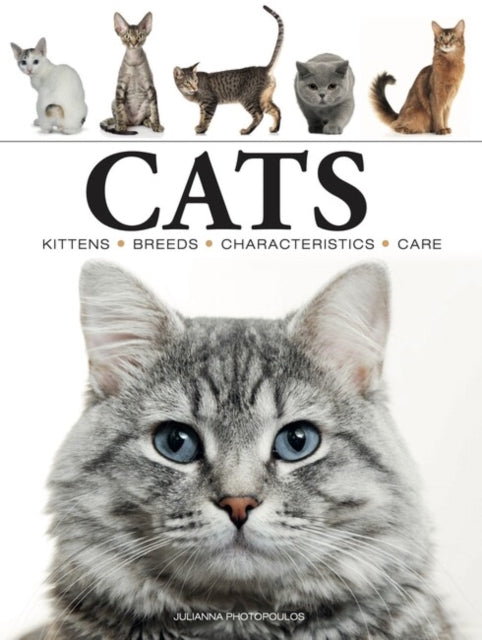 Cats-9781838862572