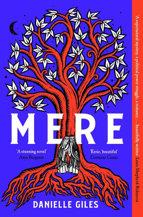 Cover image for this book