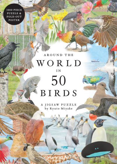 Cover image for this book