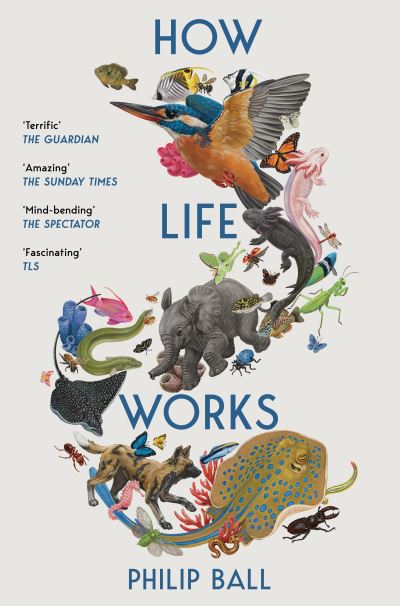 Cover image for this book
