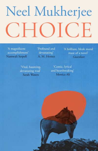 Cover image for this book
