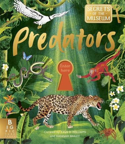 Cover image for this book