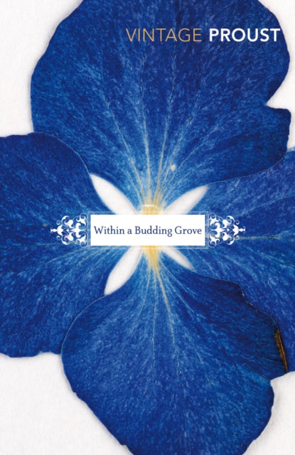 In Search of Lost Time, Vol 2 : Within a Budding Grove-9780099362319