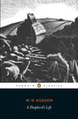 A Shepherd's Life-9780241273357