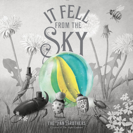 It Fell From The Sky-9780711270657