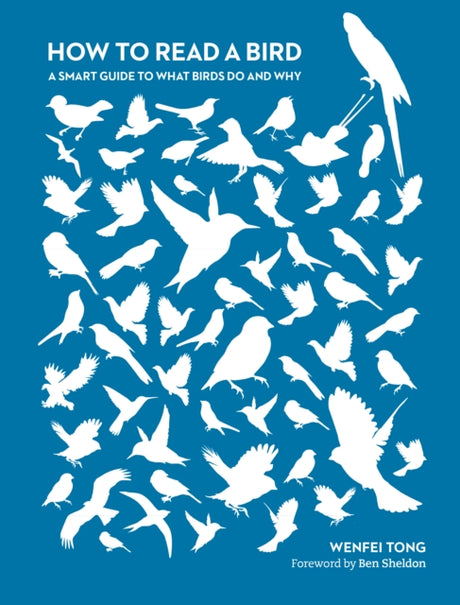 How to Read a Bird : A Smart Guide to What Birds Do and Why-9780750999977